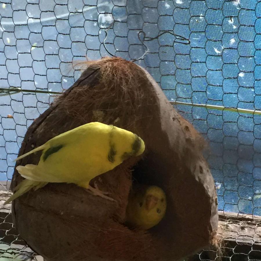Ella Nature Nest Экстерьер фото