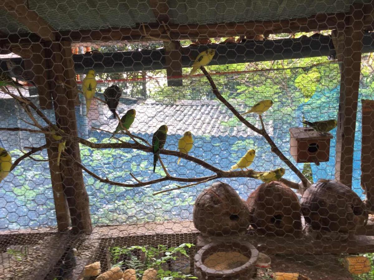 Ella Nature Nest Экстерьер фото
