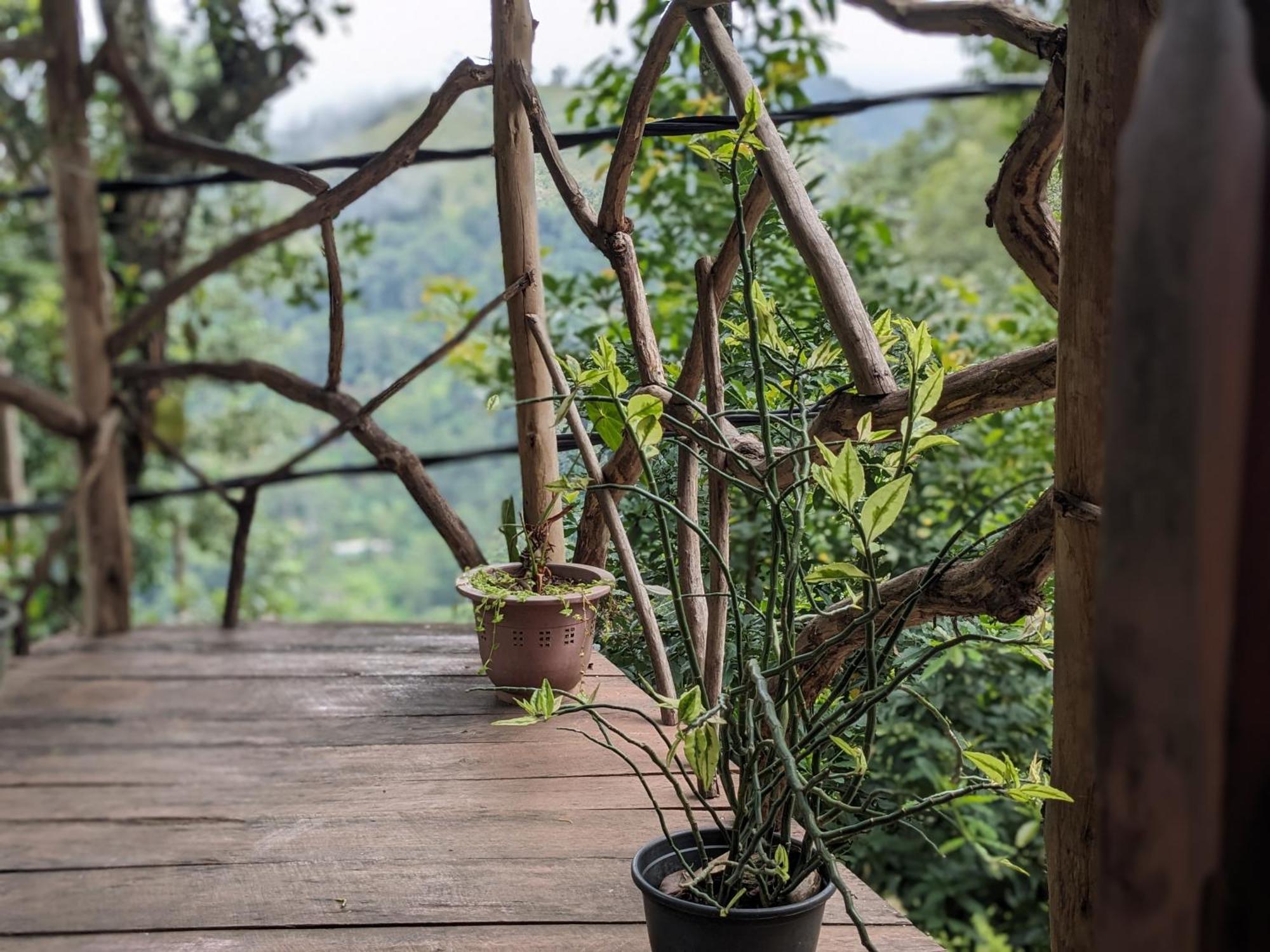Ella Nature Nest Экстерьер фото